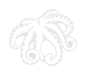 pulpo